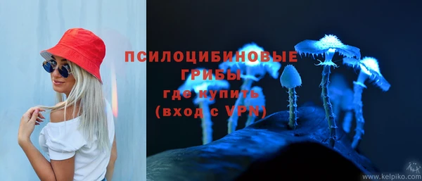 герыч Алзамай