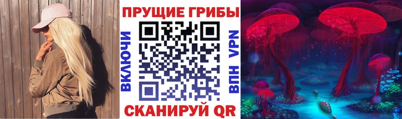 Псилоцибиновые грибы мицелий  купить  цена  Хвалынск 