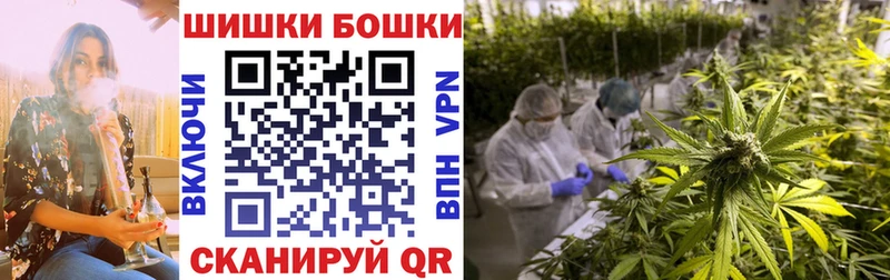 Бошки марихуана Bruce Banner  как найти закладки  Хвалынск 